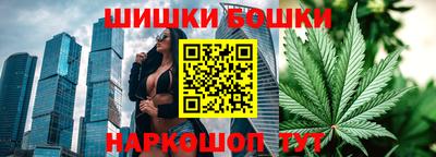 мдпв Рузаевка
