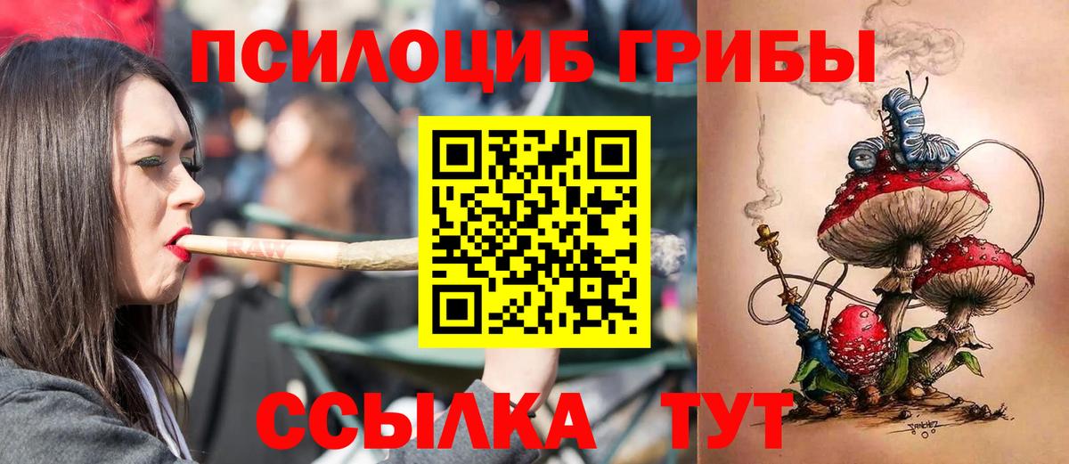Псилоцибиновые грибы Psilocybine cubensis  Вход с VPN  закладки  Соль-Илецк 